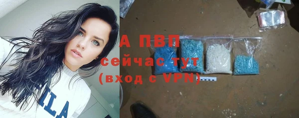 гидра Осташков